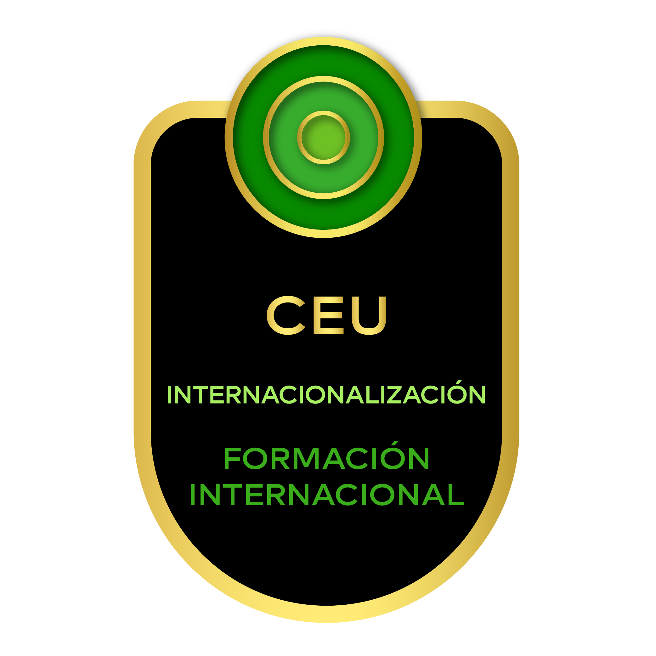 FORMACIÓN INTERNACIONAL