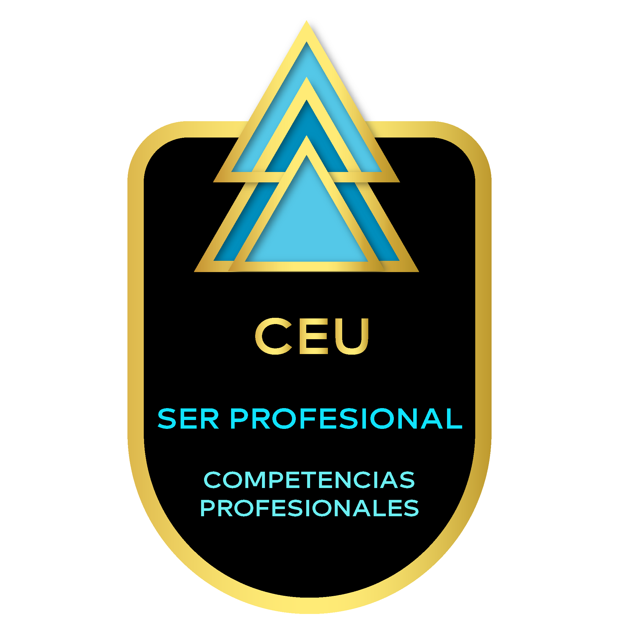 COMPETENCIAS PROFESIONALES