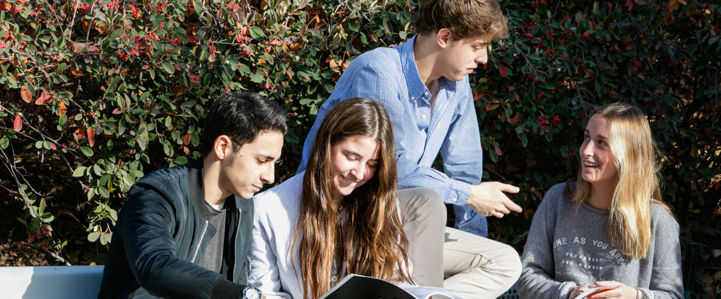 Sostenibilidad_ceu social card