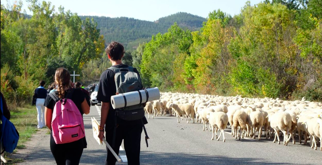 Actividades Pastoral Universidad CEU San Pablo