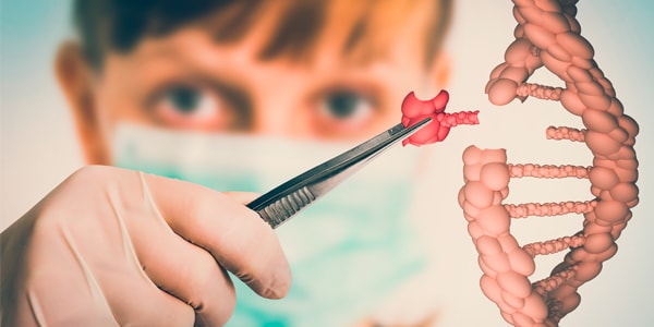 Becas Barcia Goyanes