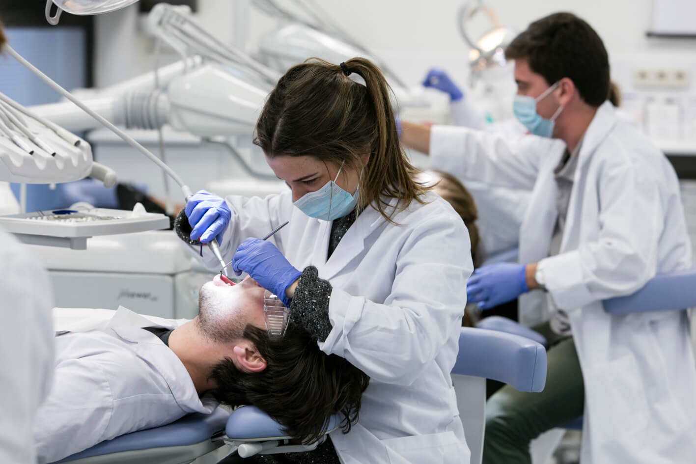 Bachelor’s Degree in Dentistry
