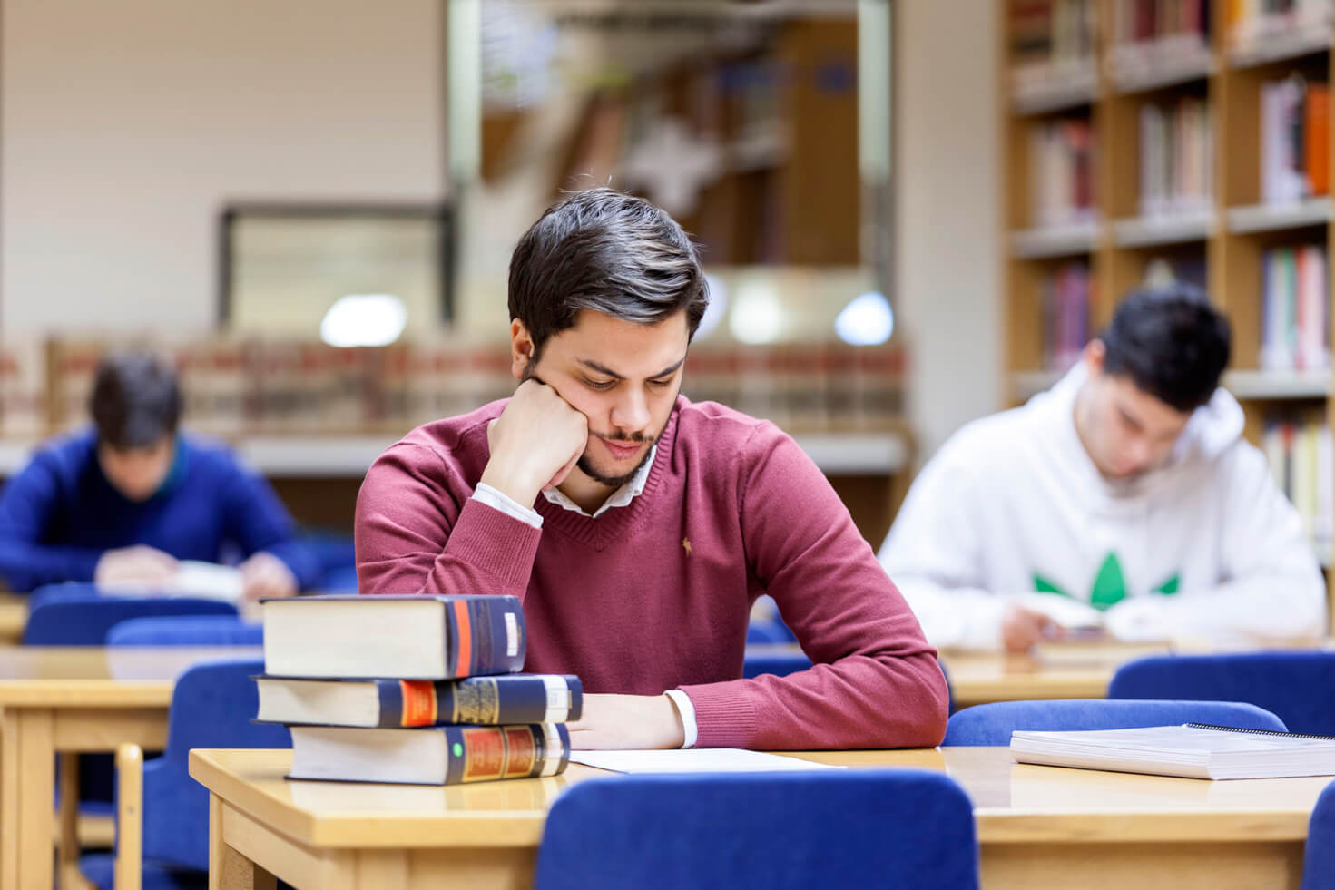 Bachelor’s Degree in International Relations and the European Union