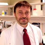 Luis Fernando Alguiacil Merino