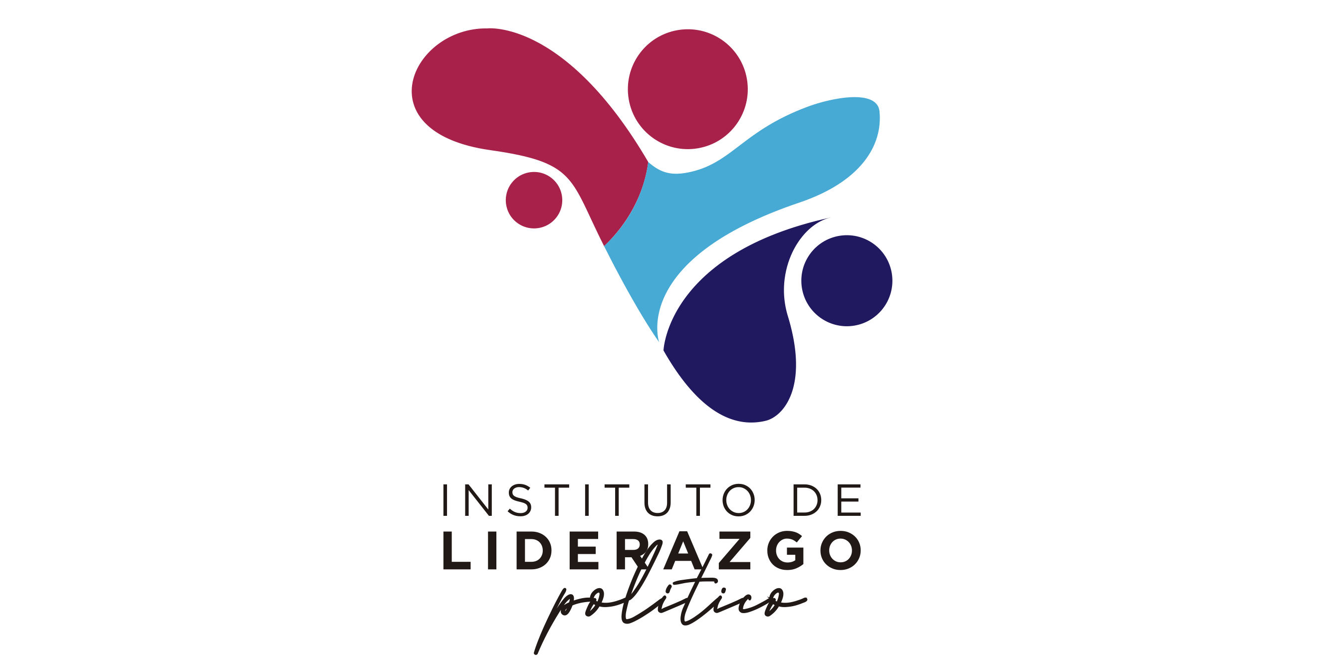 Instituto Liderazgo Politico
