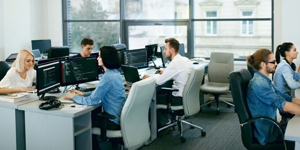 Salidas Profesionales