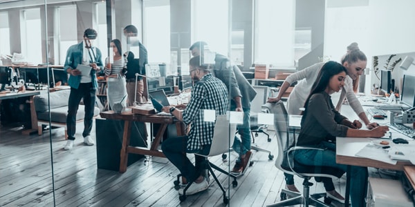 Salidas Profesionales