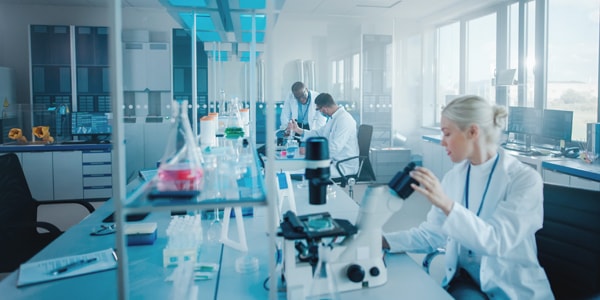 Salidas Profesionales