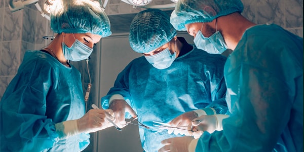 Salidas Profesionales