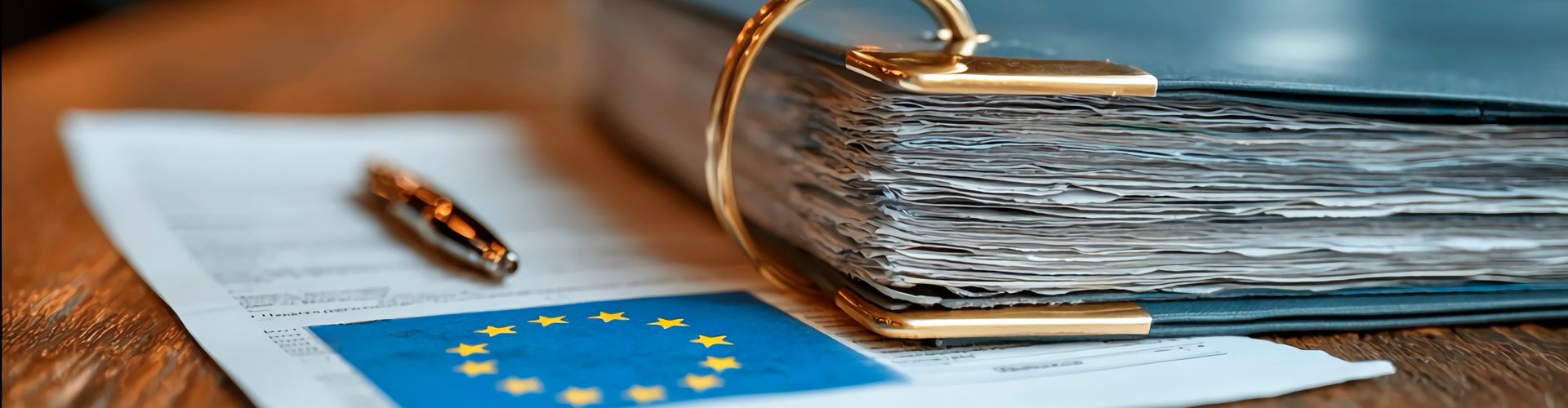 Law + Exclusive Degree in European and Global Legal Practice