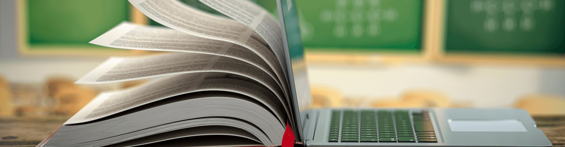 Educación Primaria + Humanidades