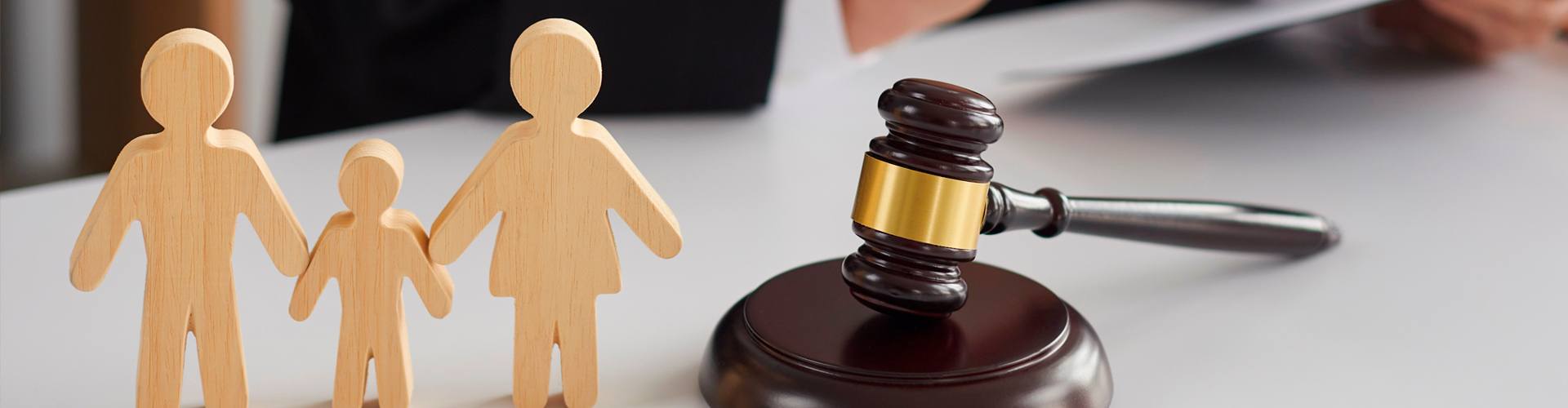 Acceso a la Abogacía y la Procura + Derecho de Familia y Sucesiones