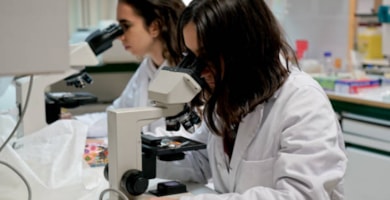 Social and environmental responsibility