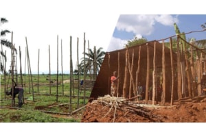 De la emergencia al desarrollo sostenible