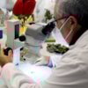El COVID y su impacto en nuestra vida, protagonista de la XX Semana de la Ciencia - 11238