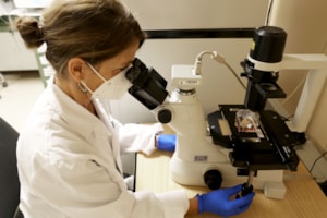 Las Universidades CEU, en el ‘top ten’ de las españolas en las áreas de Ciencias de la Salud y de la Vida del ranking THE