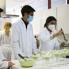 Más de ochocientos participantes en las actividades de la XX edición la Semana de la Ciencia  - 11265
