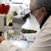 Más de ochocientos participantes en las actividades de la XX edición la Semana de la Ciencia  - 11267