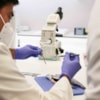 Más de ochocientos participantes en las actividades de la XX edición la Semana de la Ciencia  - 11268
