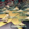 Ocare premia las campañas más creativas y transformadoras de 2020 - 11290