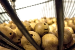 ¿Es interesante jugar el mismo número de la lotería de Navidad durante toda tu vida?