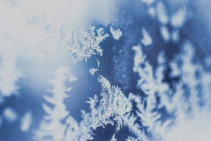 Vuelve la 'Winter University' con 14 cursos online