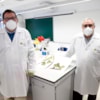 Discovery of a new species of bush for science in the Sierra of Madrid - 11567