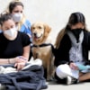 ¿Ayudan los perros a disminuir la ansiedad ante los exámenes? - 11829