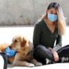 ¿Ayudan los perros a disminuir la ansiedad ante los exámenes? - 11830
