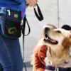 ¿Ayudan los perros a disminuir la ansiedad ante los exámenes? - 11833