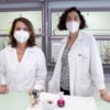 The saffron flower, from the dining table to the laboratory - 11847