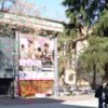 IMG04052016110503339