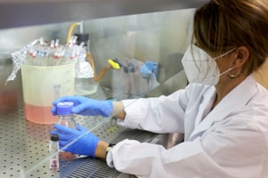 Las Universidades CEU, entre las primeras 600 del mundo