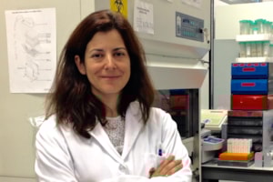 Información especializada de calidad