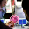 Éxito de la Semana de la Ciencia y la Innovación - 12209