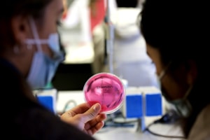 Éxito de la Semana de la Ciencia y la Innovación