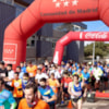 Vuelve el Cross Rectora  - 12239