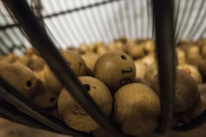 Lotería de Navidad, ¿suerte, estadística o probabilidad?