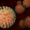 Identificados un tipo de vidrio y una arcilla con una potente actividad para combatir virus  - 12375