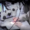 Investigating a crime from the University - 12450