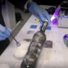 Investigating a crime from the University - 12452