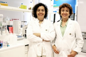 El descenso en los diagnósticos de infección por retrovirus humanos se estanca en España 