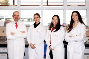 Investigadores consiguen modular los efectos del alcohol sobre la matriz del cerebro adolescente