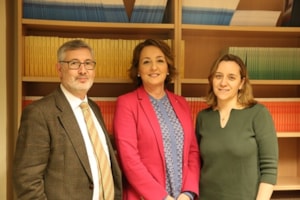 La Iglesia como hospital de campaña, sesión del Seminario Permanente del Instituto de la Familia