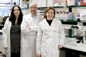 Investigadores consiguen reducir las placas seniles en un modelo de la enfermedad de Alzheimer