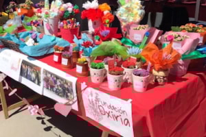 Orgullosos de la labor de Voluntariado de la Universidad