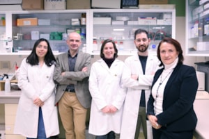 Un mecanismo clave para prevenir problemas neurodegenerativos asociados a la obesidad