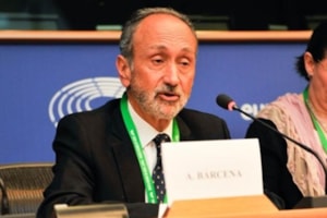 El profesor Alberto Bárcena interviene en el Parlamento Europeo