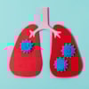 Influenza infections alter the lung microbiota and enhance the appearance of opportunistic pathogens - 17751