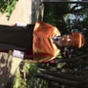 IMG28062017102001733